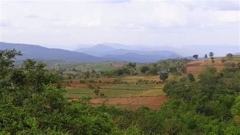 Sathyamangalam Tiger Reserve and Germalam Trek