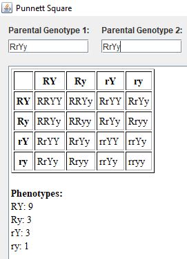 Punnett Square Calculator Eye Color