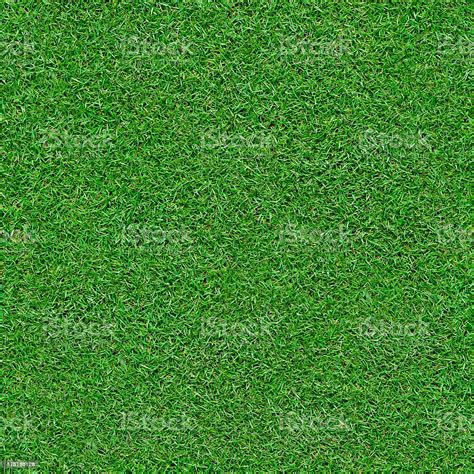 Seamless Grass Background Stock Photo - Download Image Now - Backgrounds, Environmental ...