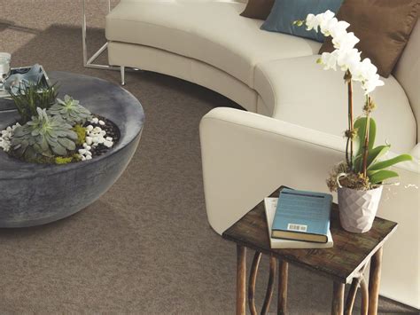 Your Guide to Finding the Right Cut and Loop Carpet.