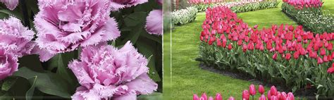 Floriade 2022 - Netherlands Garden Tour | Gardening Tours by Donna Dawson