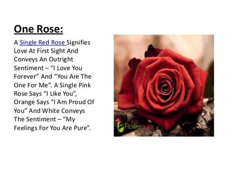 Rose: its colors and numbers