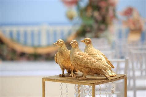 "Wedding Doves" Images – Browse 75 Stock Photos, Vectors, and Video | Adobe Stock