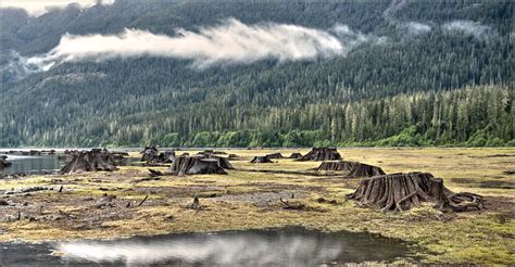 Buttle Lake | Courtenay - Vancouver Island - British Columbi… | Flickr