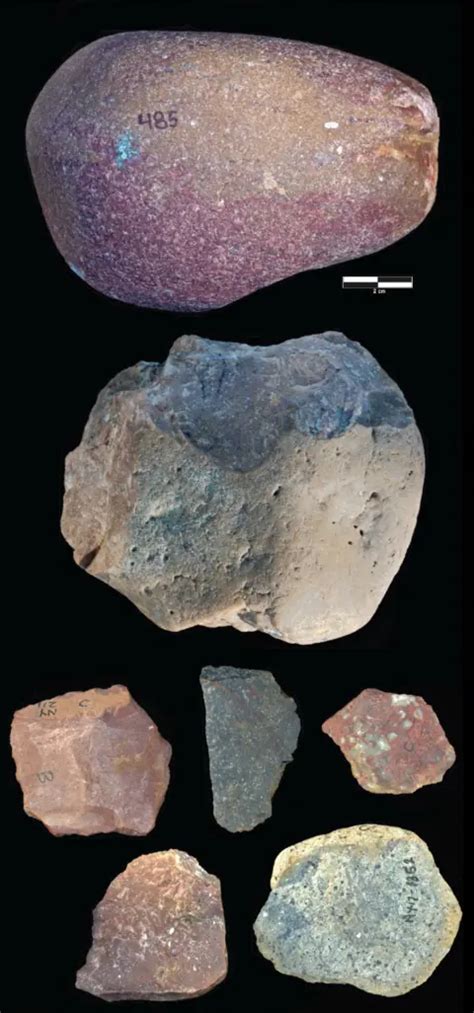 Ancient stone tools found in Kenya made by early humans