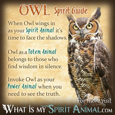 Native American Owl Symbol Meaning