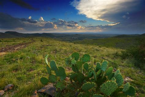 Largest Land for Sale in Texas | Lands of America Blog