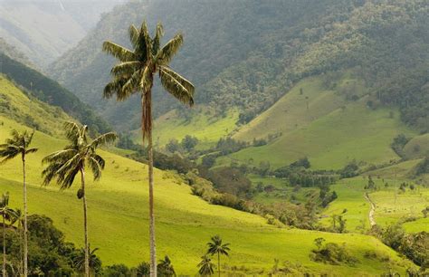 Anamuya Mountains Small Group Walking Tour | musement