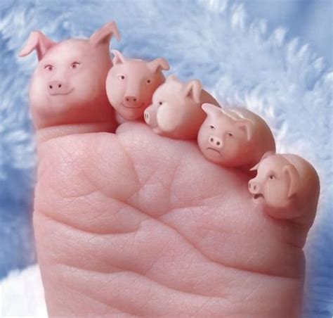 toes piggies - Google Search | This little piggy, Cute pigs, Piggy