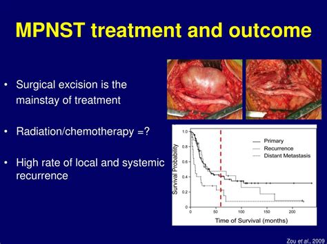 PPT - PARP Inhibitors for the treatment of MPNST PowerPoint Presentation - ID:3397391