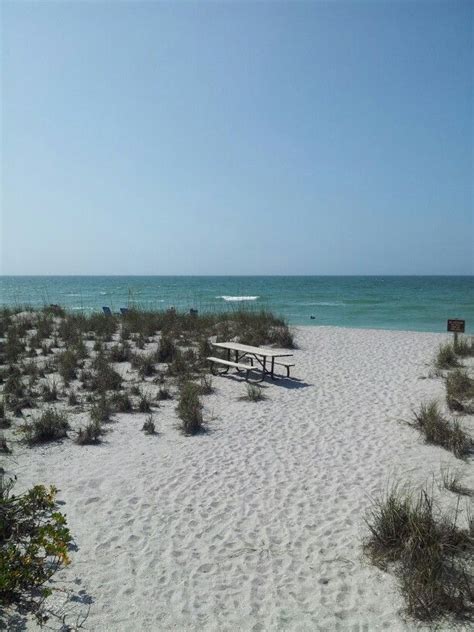 46 best Placida, Florida images on Pinterest | Florida, Diners and Fish