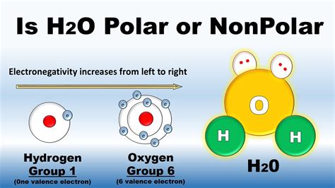 Ethanol Polar Or Nonpolar - homework - How do I figure out the relative ...