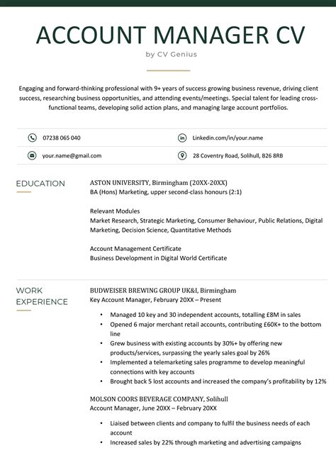 Account Manager CV: Example & How to Write