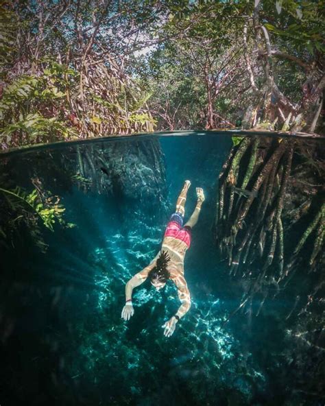 Cenote Cristalino Playa del Carmen: Price, Hours & Tours (2023)