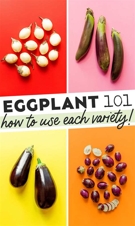 Eggplant Varieties Chart