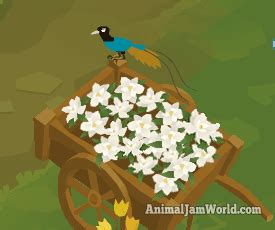 Birds of Paradise Journey Book Cheats - Animal Jam - Animal Jam World