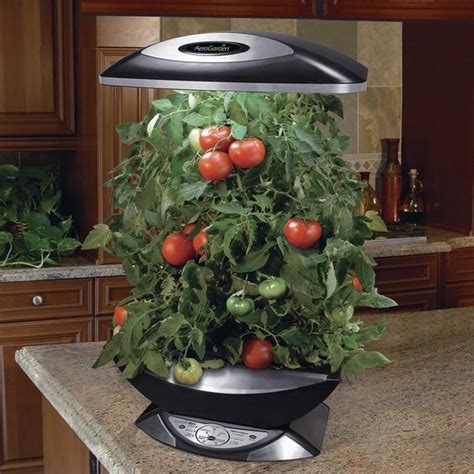 Indoor hydroponic systems – the perfect idea for a home garden