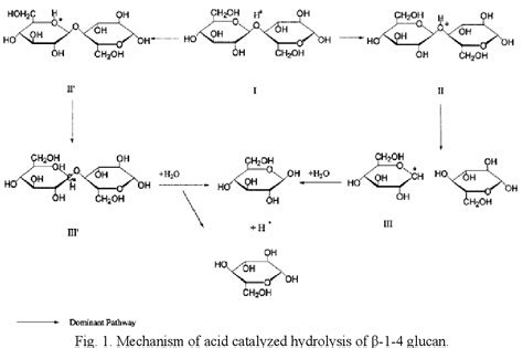 Figure 1 from Investigation of the mechanism of acidic hydrolysis of cellulose | Semantic Scholar