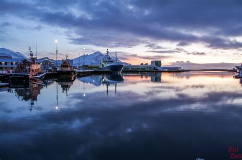 The Iceland South Coast in Winter (tips + photos)