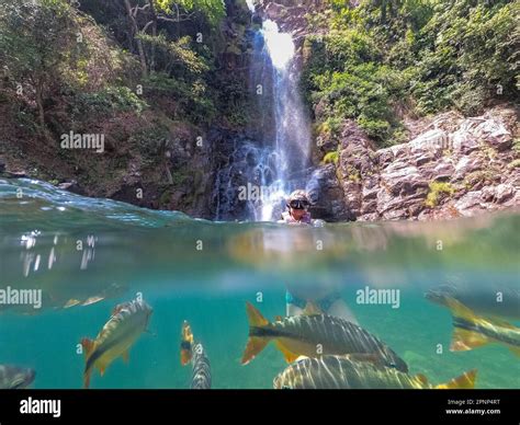 Woman snorkeling in a crystal clear waterfall pool in the brazilian ...