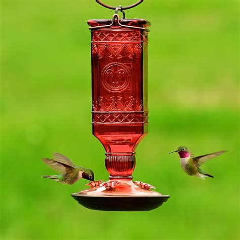 Best Hummingbird Feeder [2023] Top Unique Hummingbird Feeders