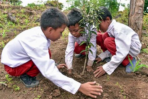 Menanam Pohon, Amal Jariyah yang Pahalanya Tak Pernah Putus