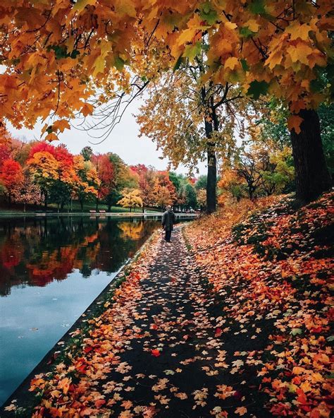 Canada 🇨🇦 on Instagram: “Picturesque Autumn walks 🍁 Image by @karlvibes #ImagesofCanada Selected ...