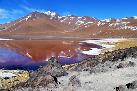 Laguna Colorada Bolivia | JuzaPhoto