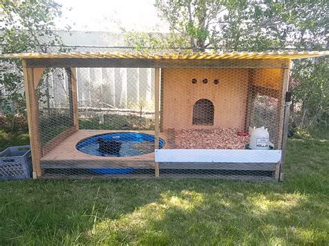 What does your duck house look like? | Backyard ducks, Chickens backyard, Backyard chicken coops