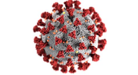 Neues Coronavirus | Stadt Bochum