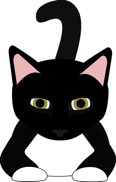 Download Graphic, Crouching Cat, Cat. Royalty-Free Vector Graphic - Pixabay