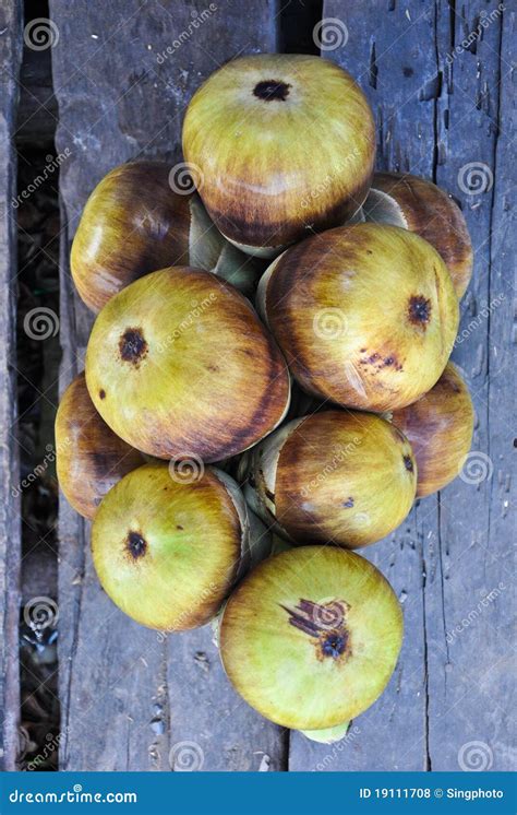 Toddy Palm Fruit Royalty Free Stock Photos - Image: 19111708