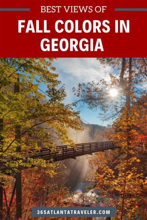 Fall Colors in Georgia 2024: When and Where To Get the Best Views