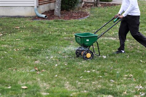 Tips for Planting Grass Seed in Fall | The Family Handyman