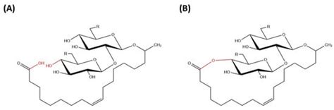 Sophorolipids—Bio-Based Antimicrobial Formulating Agents | Encyclopedia MDPI