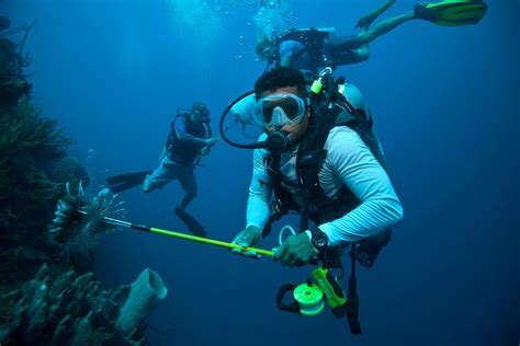 West Bay Diving | Roatan Dive Center | Photo Gallery