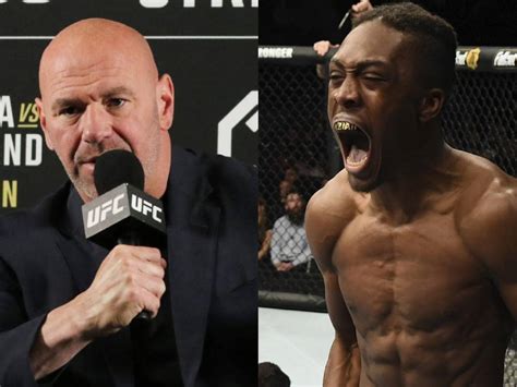 "One of the worst," Upset Dana White reacts to SHOCKING referee ...