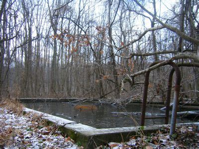 Eerie Indiana: Abandoned Rose Island Amusement Park - Charlestown, IN ...