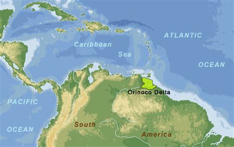 Orinoco Delta geographical location