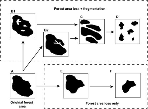 1 Changes in the amount and spatial arrangement of forest cover that... | Download Scientific ...