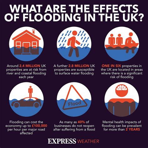 Flood warnings: The five key steps for protect your home from water damage | Express.co.uk