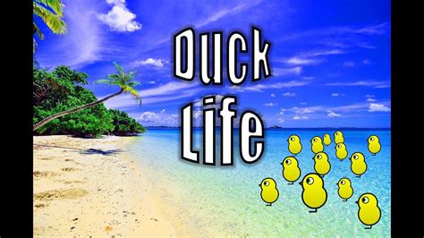 Duck Life 4 pt.1 - YouTube