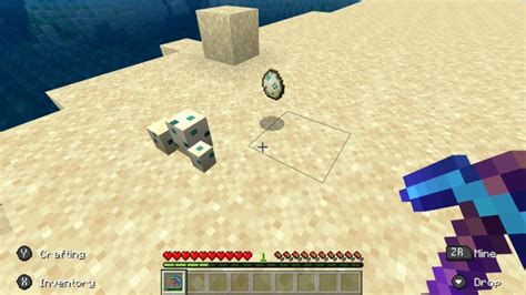 How to get Sea Turtle Eggs in Minecraft - Gamepur