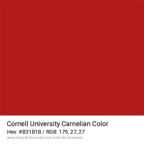 Cornell University Brand Color Codes » BrandColorCode.com