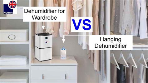 Hanging Dehumidifier vs Dehumidifier for Wardrobe: Which One is Better ...