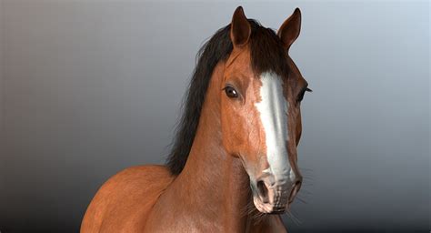 cinema4d clydesdale draft-horses