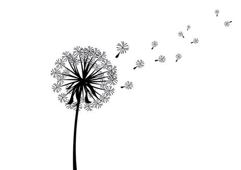 Scattered Dandelion Silhouette by superawesomevectors on DeviantArt