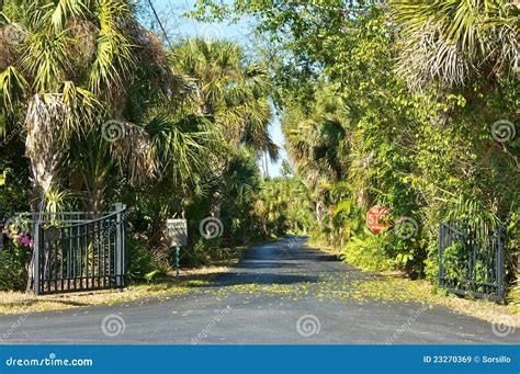 Entrance To Tropical Private Road Stock Image - Image of palm, trees ...