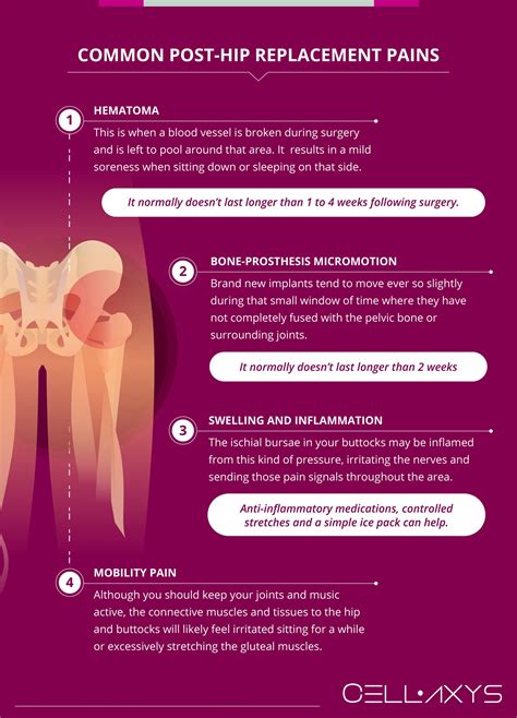 The Cause Of Buttock Pain After Hip Replacement - Cellaxys