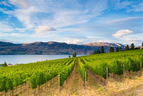 12 Underrated Wine Regions to Visit This Fall, According to the Experts ...